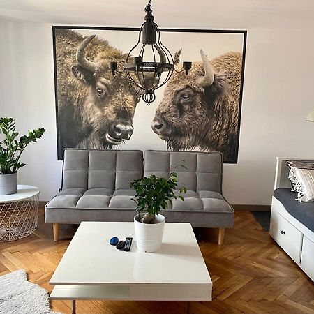 Apartamenty Pod Zabami Nr 2 Bielsko-Biała Esterno foto