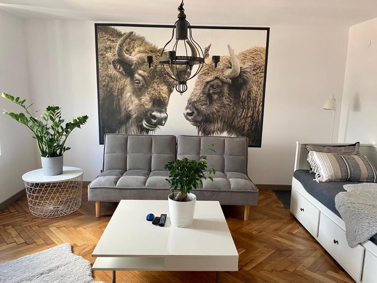Apartamenty Pod Zabami Nr 2 Bielsko-Biała Esterno foto